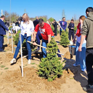 Аллея преемственности поколений