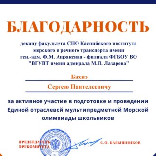 Благодарность за профессионализм